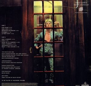Rise and Fall of Ziggy Stardust