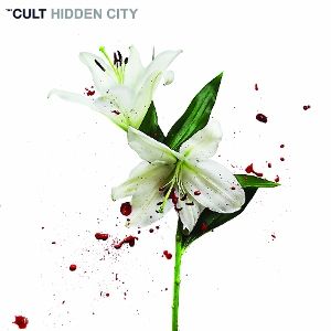 Hidden City