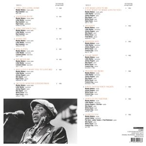 WATERS, MUDDY - R & B HITS