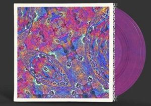 CARLOS NINO & FRIENDS - PLACENTA