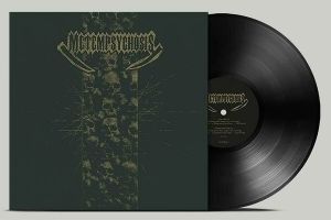 Metempsychosis