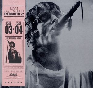 Knebworth 22