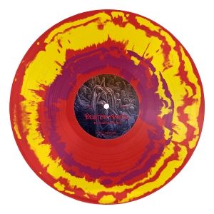 Dusted Angel - This Side of the Dirt