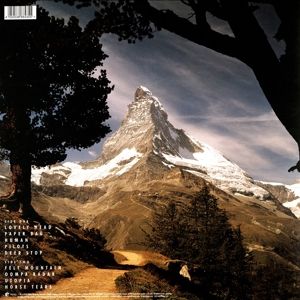 Felt Mountain