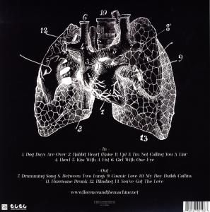 Lungs