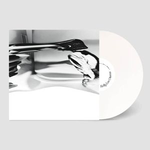 Lp.8
