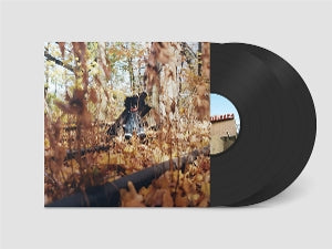 WOODS, BILLY - GOLLIWOG
