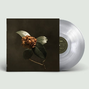 ST. PAUL & THE BRO... - YOUNG SICK CAMELLIA
