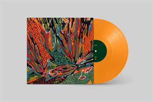 Akusmi - Terra Incognita
