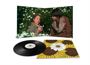 Yusuf - Harold and Maude