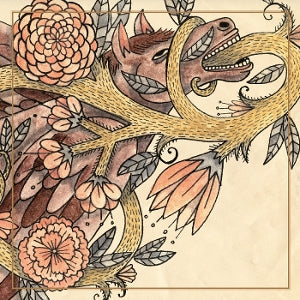 Horse Feathers - Words Are Dead