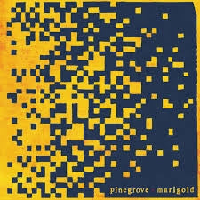 PINEGROVE - MARIGOLD