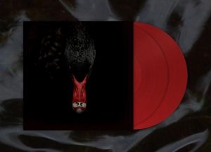 Mannerfreundschaften Und Metaphysik