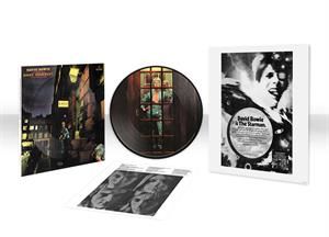Rise and Fall of Ziggy Stardust