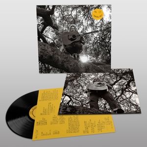 SEGALL, TY - HELLO, HI