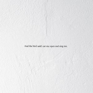 And the Bird Said: Cut Me Open and Sing Me