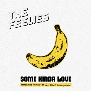 FEELIES - SOME KINDA LOVE: THE MUSIC OF THE VELVET UNDERGROU