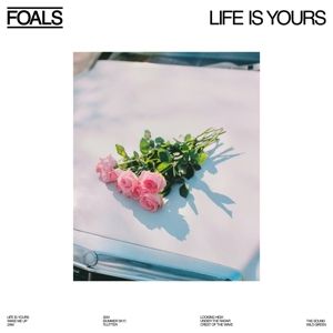 Life is Yours