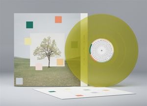 WASHED OUT - NOTES FROM A QUIET LIFE