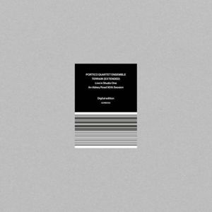 Portico Quartet Ensemble - Terrain