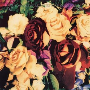 Dave Stewart and the S... - Honest