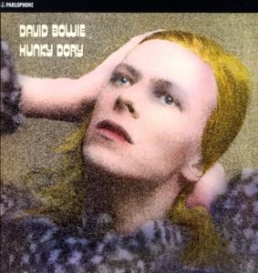 Hunky Dory