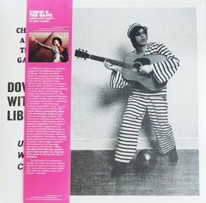 Down With Liberty... Up With Chains!