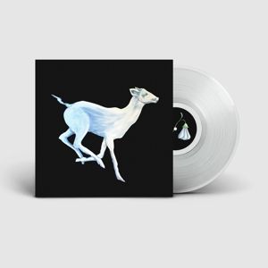 Gift Horse