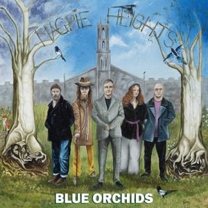BLUE ORCHIDS - MAGPIE HEIGHTS