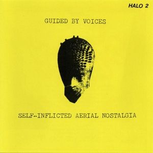 Self-Inflicted Aerial Nostalgia (Yellow)