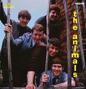 Animals - Animals