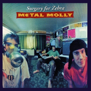Metal Molly - Surgery For Zebra