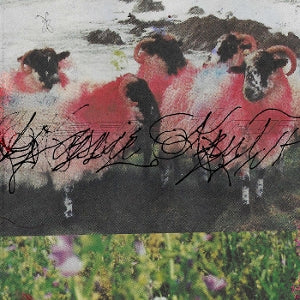 KRUT, KASSIE - KASSIE KRU