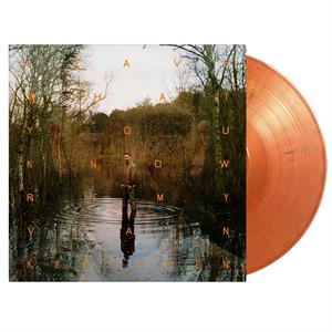 Kesteren, Remy Van - Leave What You Know