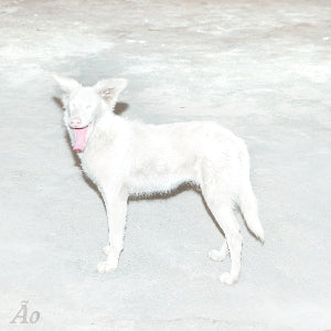 Ao - Malandra