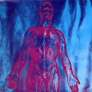 Nirvana - 7-Sliver