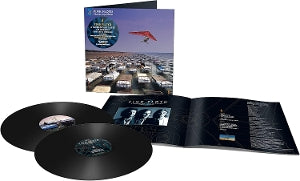 Pink Floyd - A Momentary Lapse of R...