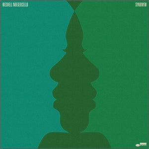 Ndegeocello, Meshell - Synonym