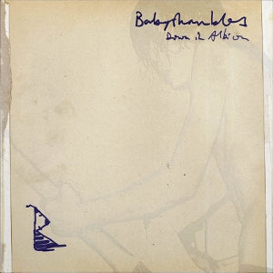 Babyshambles - Down In Albion