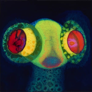 Osees - Sorcs 80
