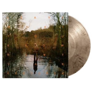 Kesteren, Remy Van - Leave What You Know