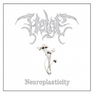 Helge - Neuroplasticity