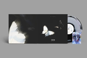 CHASE ATLANTIC - DALLIANCE