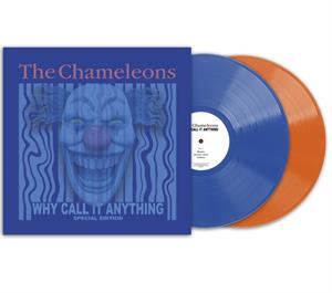 Chameleons - Why Call It Anything