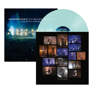 Hooverphonic - Magnificent Tree - Liv...