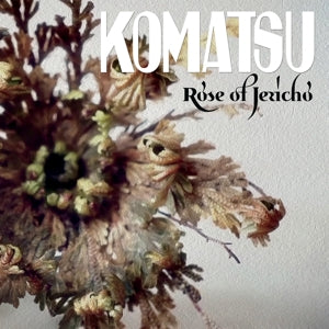 KOMATSU - ROSE OF JERICHO