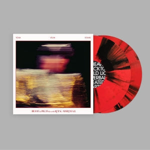 Yeah Yeah Yeahs - Hidden In Pieces: Live