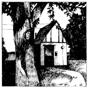 LEWIS, NAOMI - COTTAGE SONGS