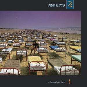 Pink Floyd - A Momentary Lapse of R...
