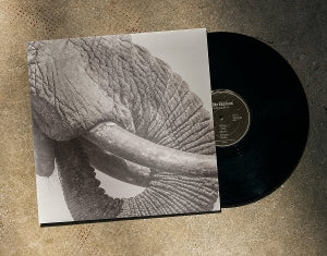 WHITE ELEPHANT - WORLD ELEPHANT DAY